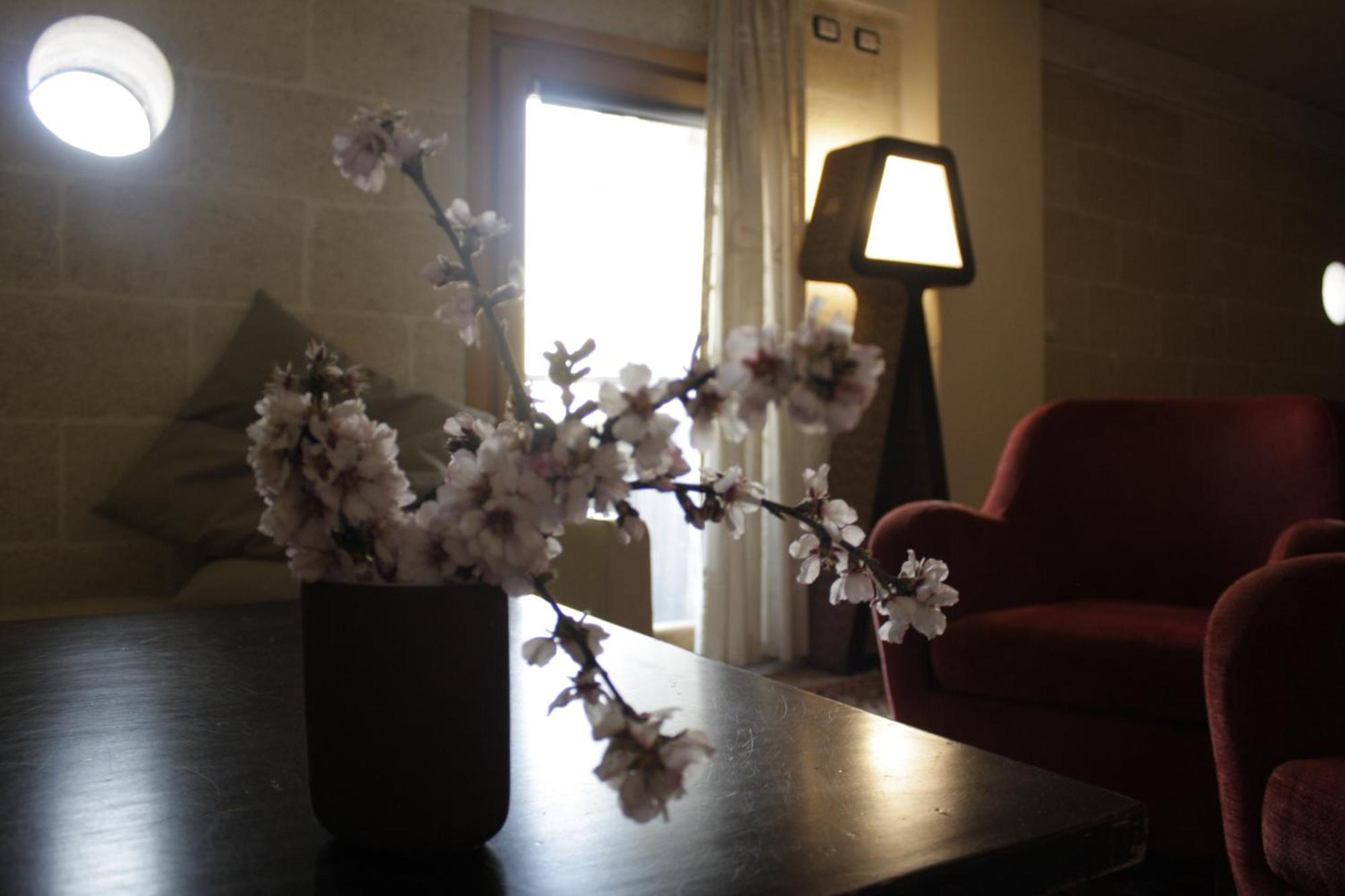 Apn Holiday Home Altamura Ngoại thất bức ảnh